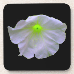 Porta copos de Petunia Green Glow Cork
