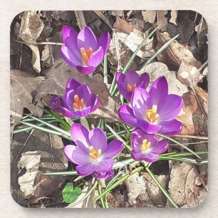 Porta copos de plástico com Duro de Crocus