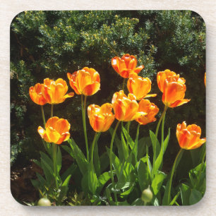 porta copos de plástico de tulipas amarelas e lar