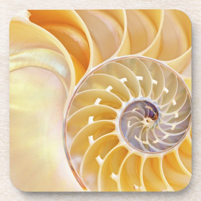 Porta copos de plástico do Duro Nautilus (Frente)