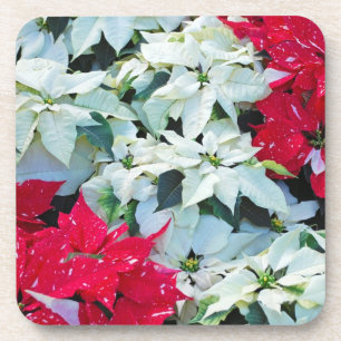 Porta copos de poinsettia natalícia
