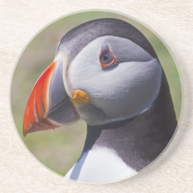 Porta copos de Retrato Puffin (Frente)