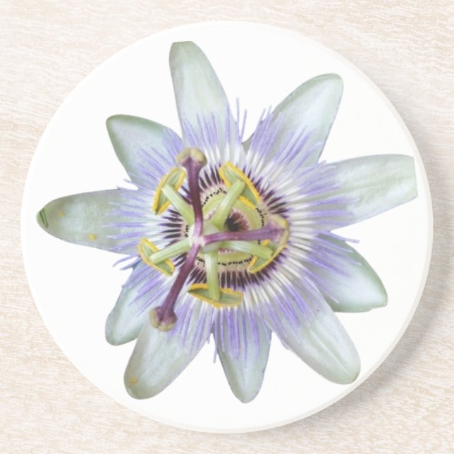 Porta copos de Sandstone com Flor Roxo Exótica (Frente)