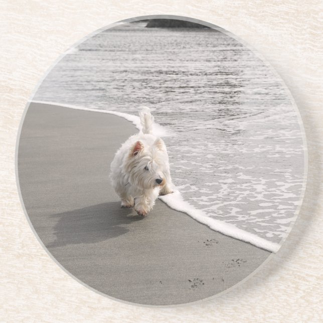 Porta copos de Sandstone com Foto de Cachorro West (Frente)