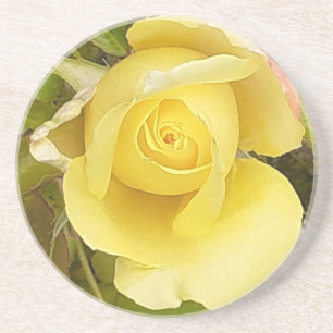 Porta copos de Sandstone de Rosebud Amarelo