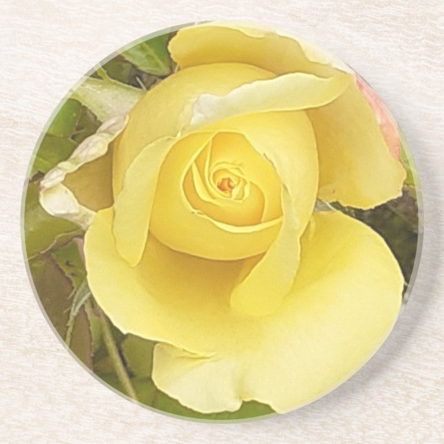 Porta copos de Sandstone de Rosebud Amarelo (Frente)