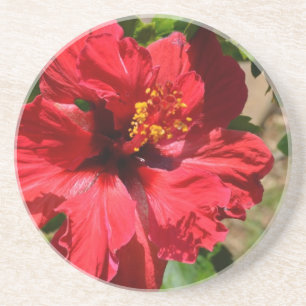 Porta copos de Sandstone Red Hibiscus