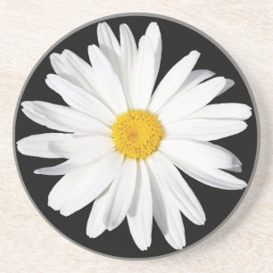 Porta copos de Shasta Daisy Sandstone Branca