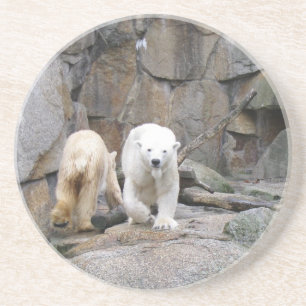 PORTA COPOS DE URSO POLAR