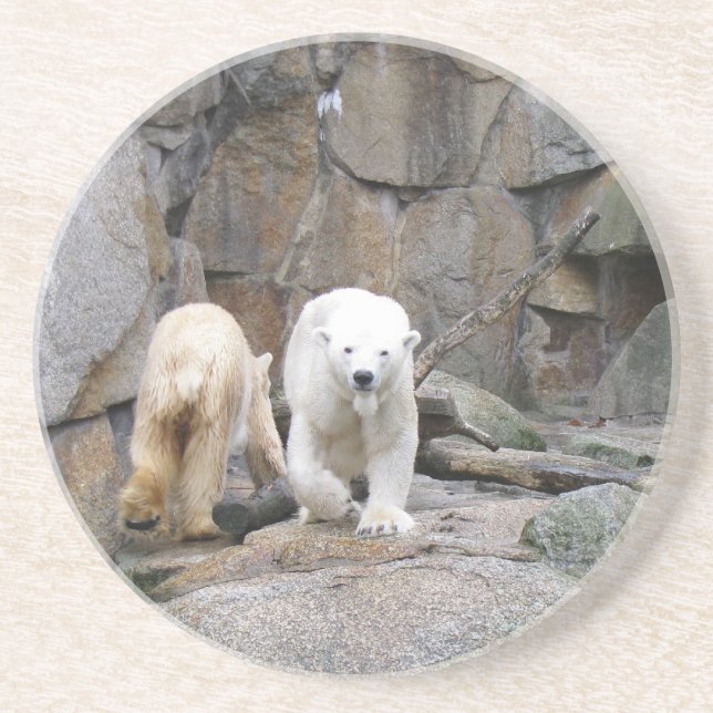 PORTA COPOS DE URSO POLAR (Frente)