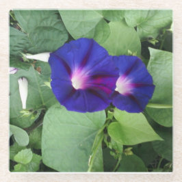 Porta copos de vidro com imagem floral