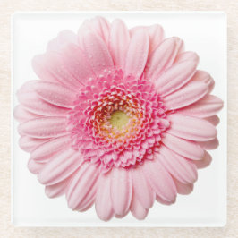 Porta copos de vidro da flor rosa Gerbera Daisy