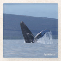 Porta copos de vidro do almoço com cabeça de balei