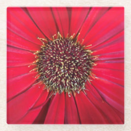 Porta copos de vidro do Flor Vermelho