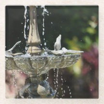 Porta copos de vidro do fonte de água