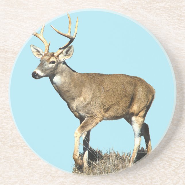 Porta-copos Deer Buck Branco (Frente)