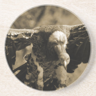 Porta copos do abutre