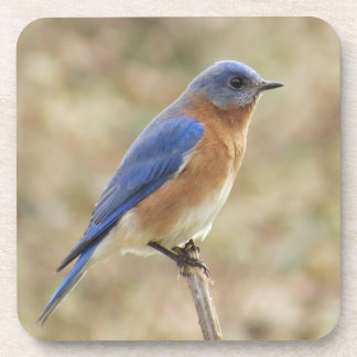 Porta copos do Bluebird