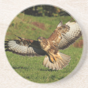 Porta copos do Buzzard