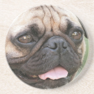 Porta copos do cão do Pug