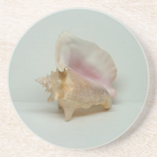 PORTA COPOS DO CONCH SHELL