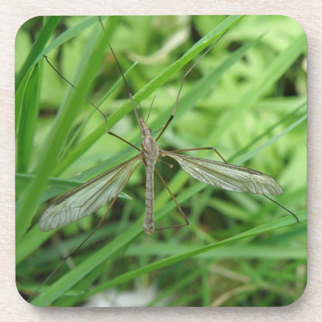 Porta copos do Crane Fly Cork (Frente)