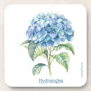 Porta copos do Hydrangea   (c) MaryLeeParker