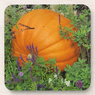 Porta copos do jardim de abóbora