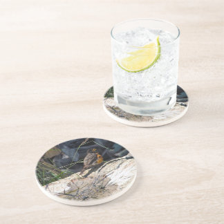 Porta copos do pisco de peito vermelho