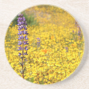 Porta copos do primavera