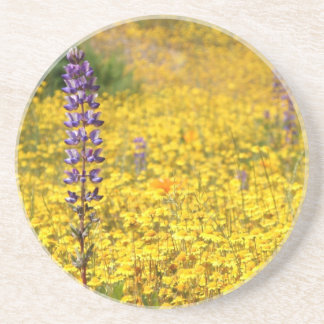 Porta copos do primavera