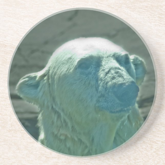 Porta copos do Urso Polar (Frente)