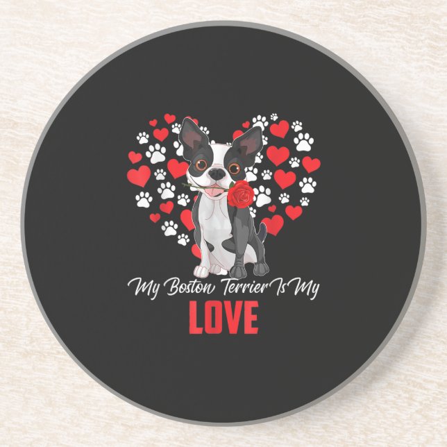 Porta-copos Dog Lover Gift Para Mulheres Meu Boston Terrier (Frente)