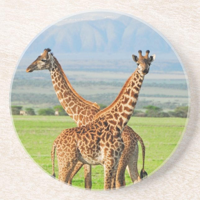 Porta-copos Dois girafas (Frente)