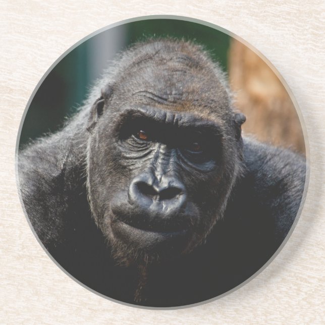 Porta-copos Dominant Primate Gorilla Ape (Frente)