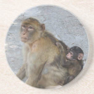 Porta copos dos Macacos de Gibraltar