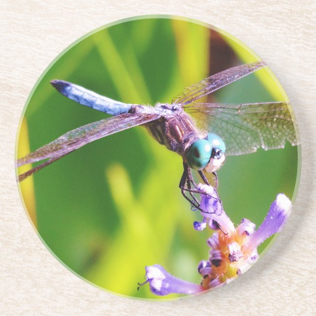 Porta-copos Dragonfly Teal & Purple (Frente)