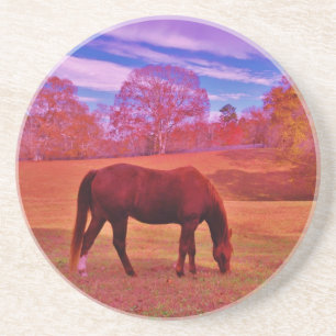 PORTA-COPOS DSCF0536.JPG