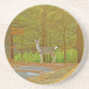 PORTA-COPOS DSCF4041.JPG