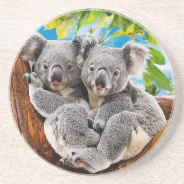 Porta-copos Duas Portas copos Cute Koala Bears (Frente)