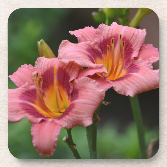 Porta copos Dupla Lily (Frente)