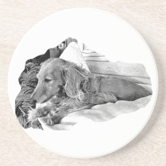 Porta-copos Dutch Hound Resting –  Graphic Coaster (Frente)