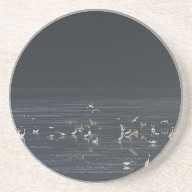 Porta-copos Egrets No Oceano Azul Da Meia-Noite (Frente)