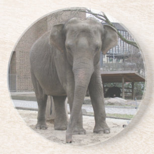 PORTA COPOS ELEPHANT