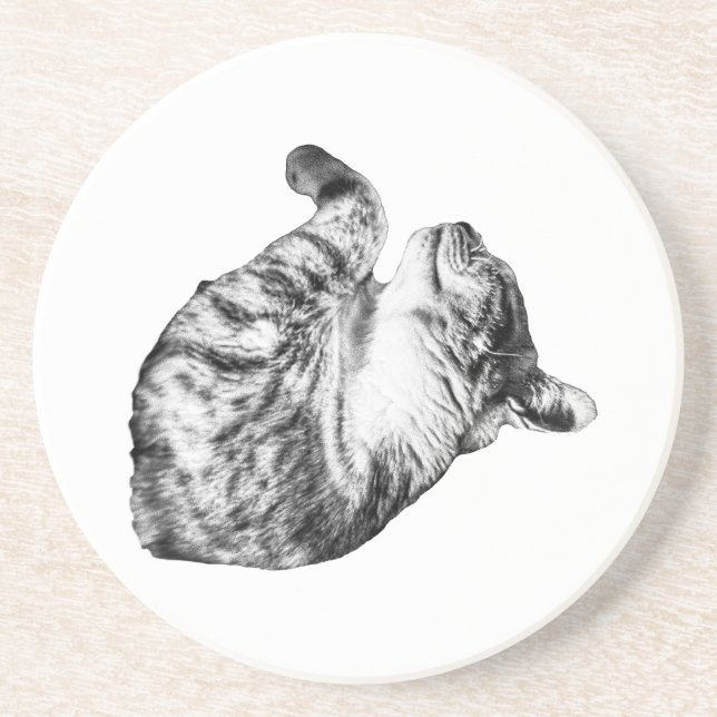 Porta-copos Ember-Step Purr (Frente)