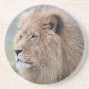 Porta-copos Embraço do Leão