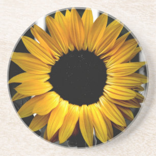 Porta copos ensolarada