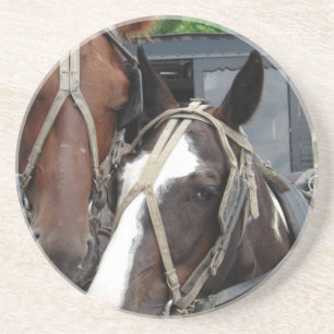 Porta-copos Equipe de dois cavalos com um Pinto