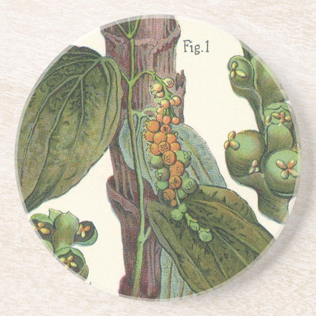 Porta-copos Especiarias de Comidas de vindima, pimenta preta (Frente)