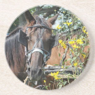 Porta-copos Esperando cavalo de amish